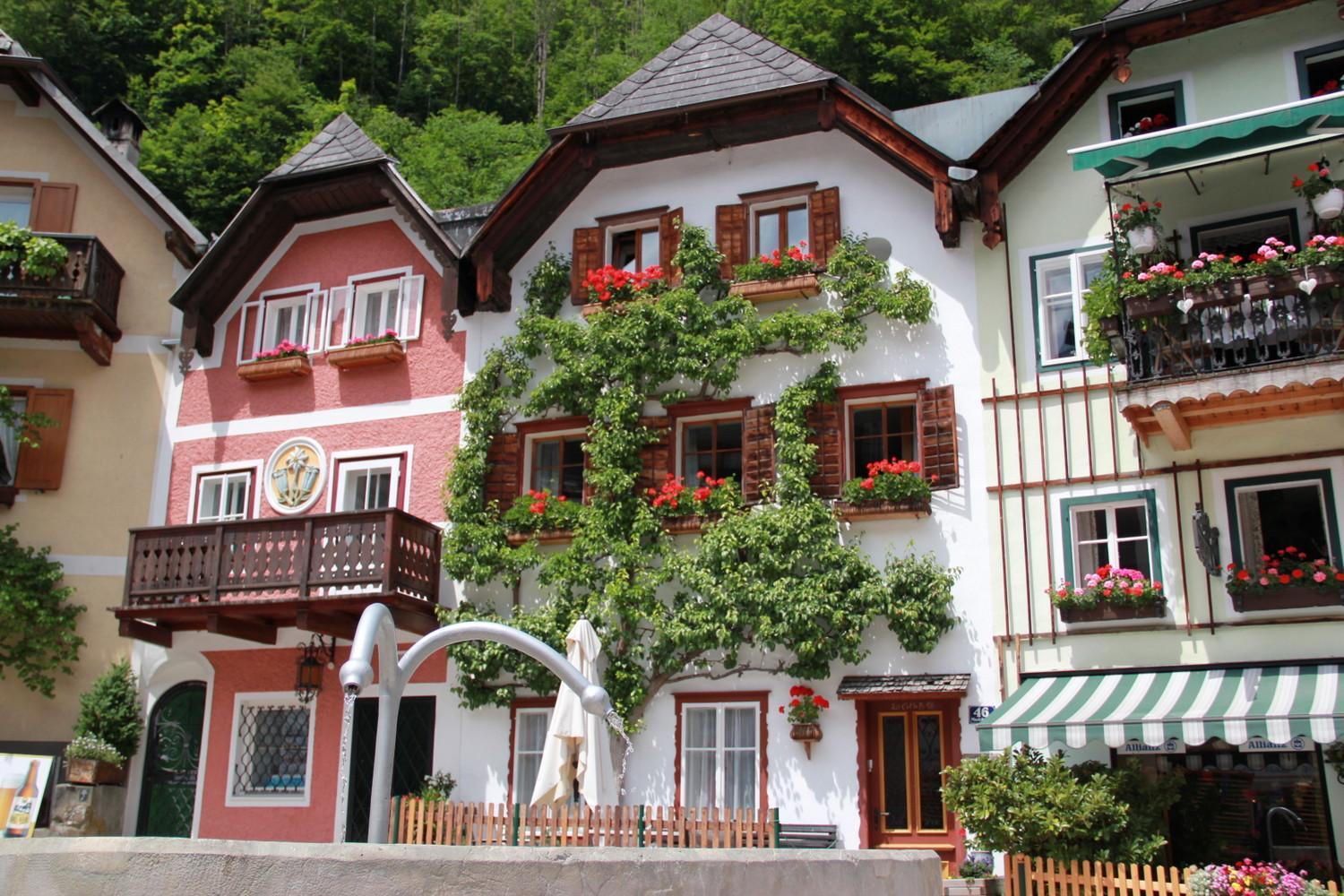 Apartments Gamsfeld Russbach am Pass Gschütt Eksteriør bilde
